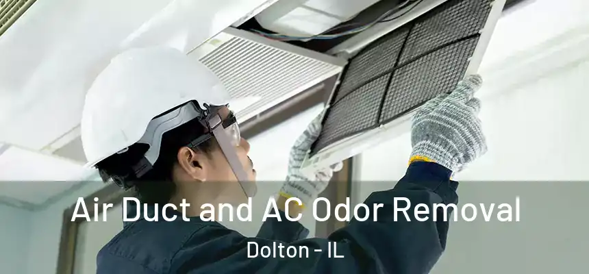 Air Duct and AC Odor Removal Dolton - IL