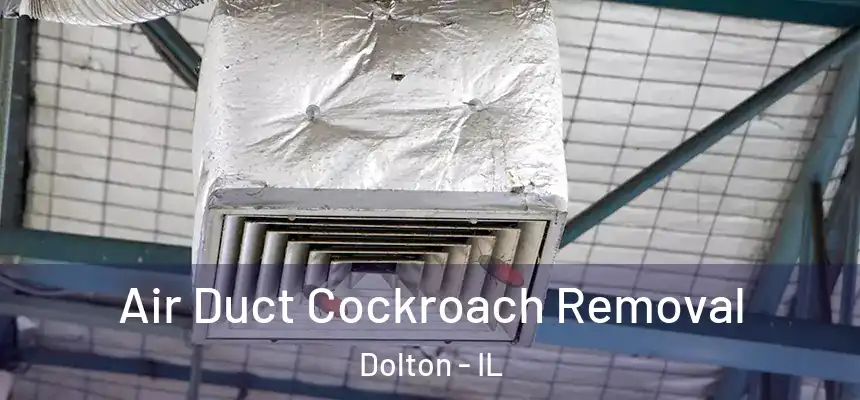  Air Duct Cockroach Removal Dolton - IL