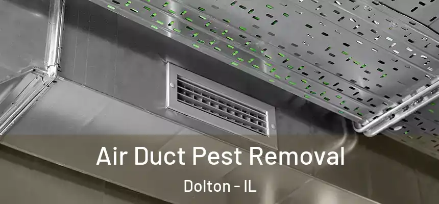  Air Duct Pest Removal Dolton - IL