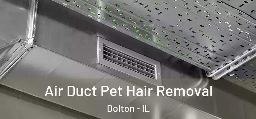  Air Duct Pet Hair Removal Dolton - IL