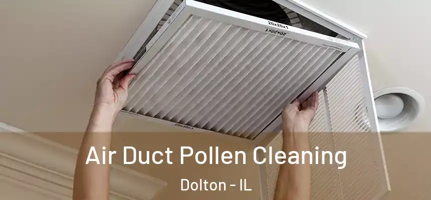  Air Duct Pollen Cleaning Dolton - IL