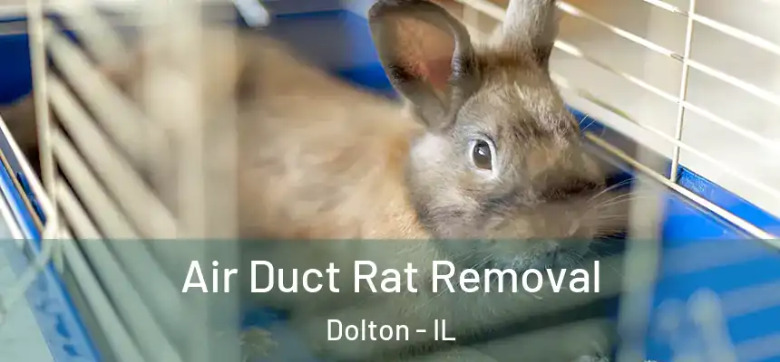  Air Duct Rat Removal Dolton - IL