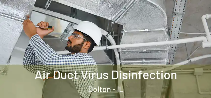 Air Duct Virus Disinfection Dolton - IL