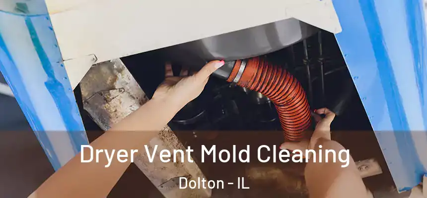  Dryer Vent Mold Cleaning Dolton - IL