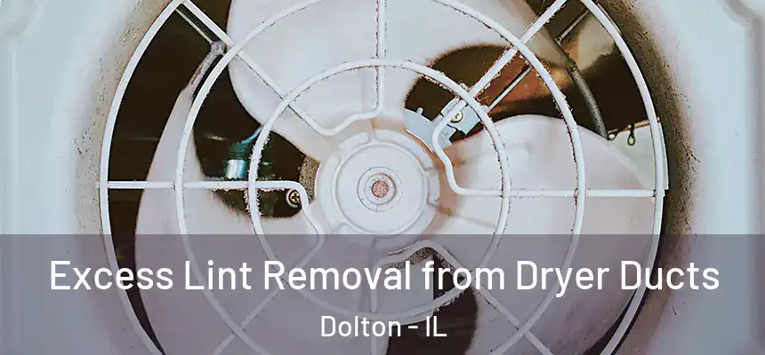  Excess Lint Removal from Dryer Ducts Dolton - IL