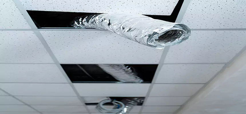 Our Air Duct Pet Hair Removal Services in Dolton, IL