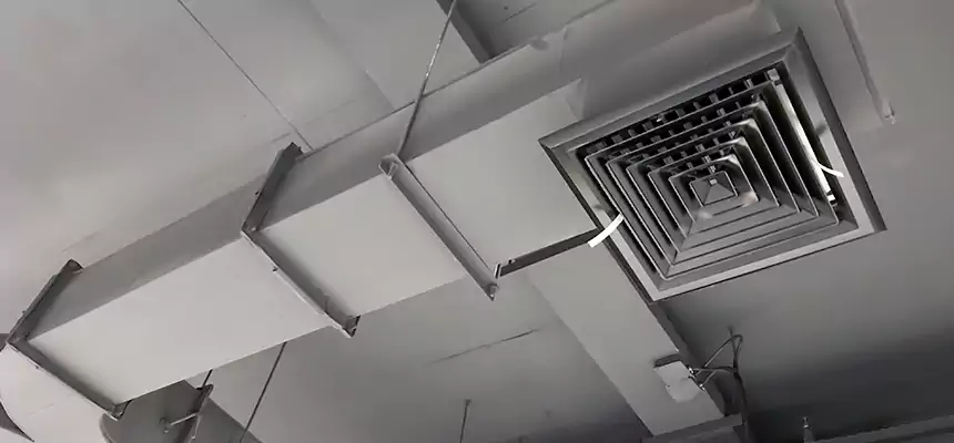 Restorative Allergy Relief Vent Cleaning – Coil, Blower & Housing Detail in Dolton