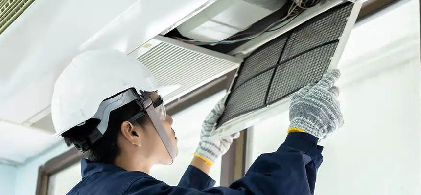 Our Lint Trap Cleaning Service Services in Dolton, IL