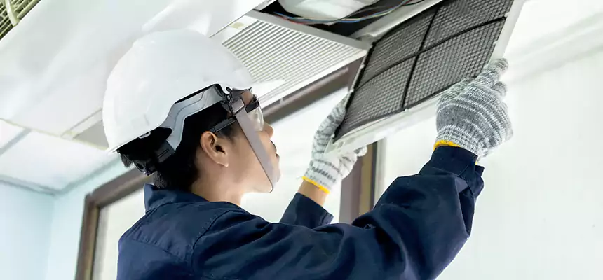 Our Mold & Mildew Removal from Air Ducts Services in Dolton, IL