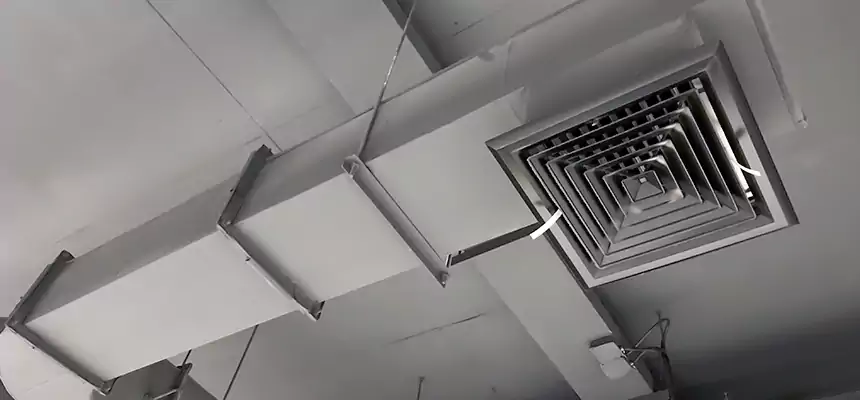 Our Pest Removal From Ducts Services in Dolton, IL