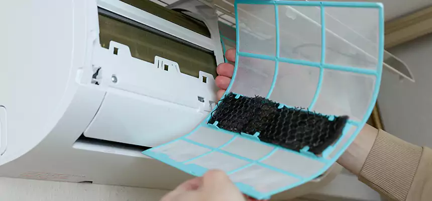 Gentle Ductwork Odor-Control Pet Dander Duct Cleaning in Dolton, IL