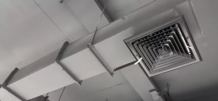 Our Rodent Droppings In Vents Services in Dolton, IL