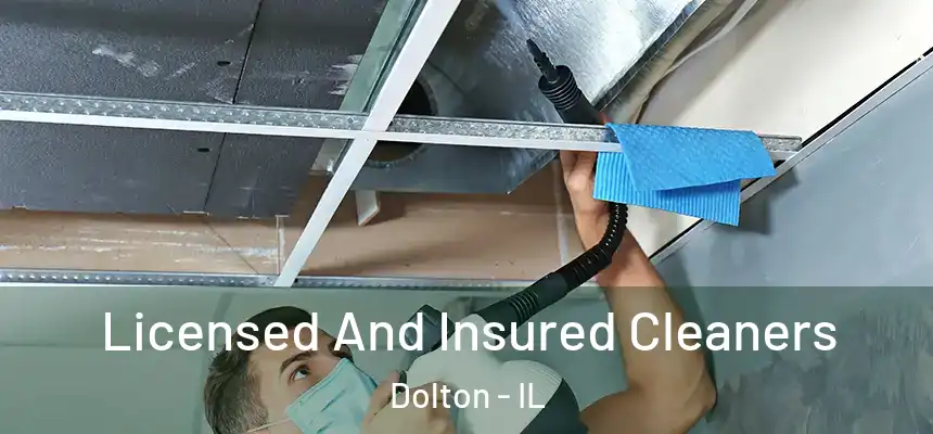  Licensed And Insured Cleaners Dolton - IL