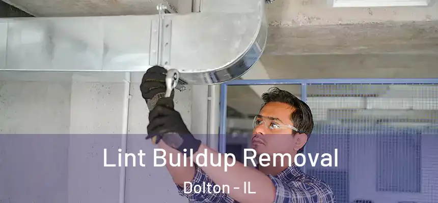  Lint Buildup Removal Dolton - IL
