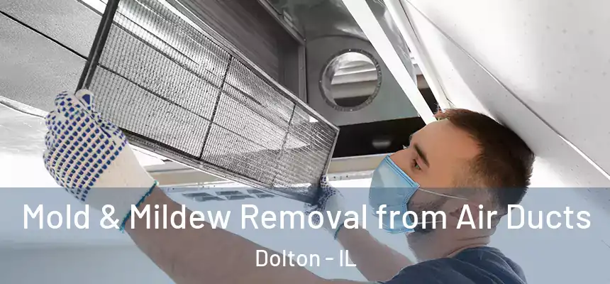  Mold & Mildew Removal from Air Ducts Dolton - IL