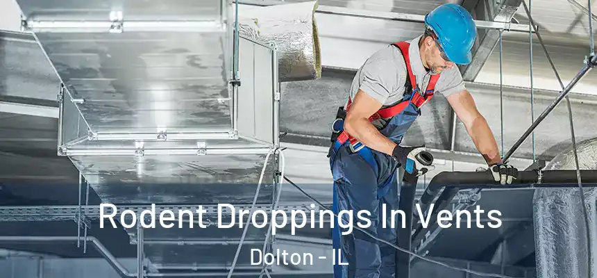 Rodent Droppings In Vents Dolton - IL