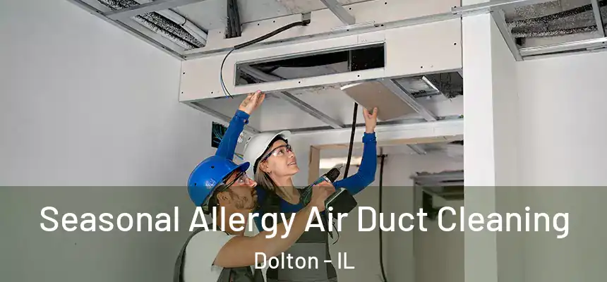  Seasonal Allergy Air Duct Cleaning Dolton - IL