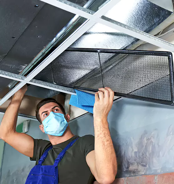 Professional Air Duct Pollen Cleaning in Dolton, IL