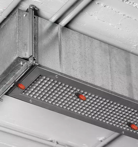 Affordable Insect Removal from Air Ducts in Dolton, IL