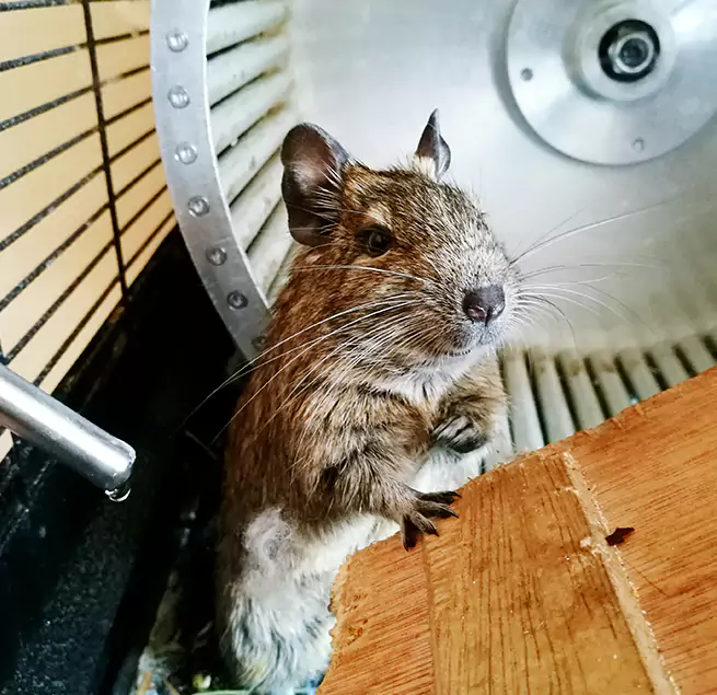 Why Homeowners & Businesses Trust Us Dolton, IL?