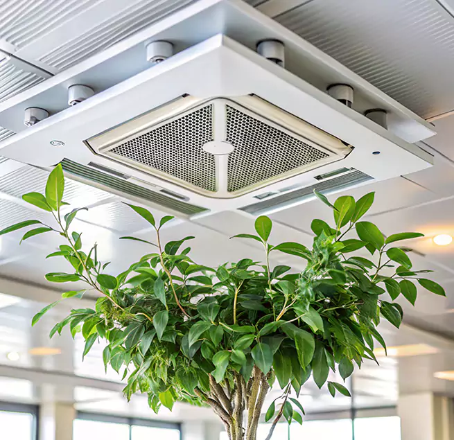 Why Homeowners & Businesses Trust Us in Dolton, IL?