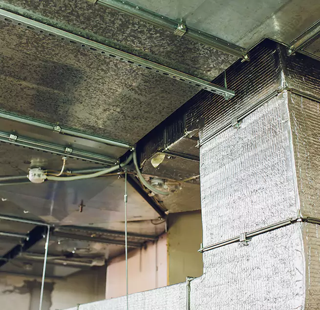 Why Homeowners & Businesses Trust Us in Dolton, IL?