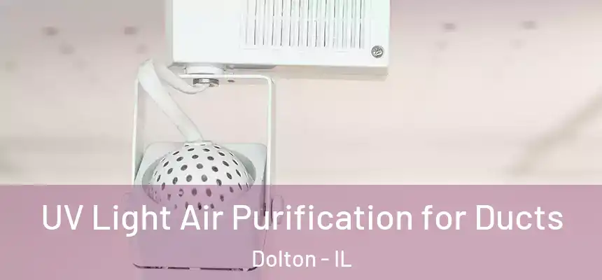  UV Light Air Purification for Ducts Dolton - IL